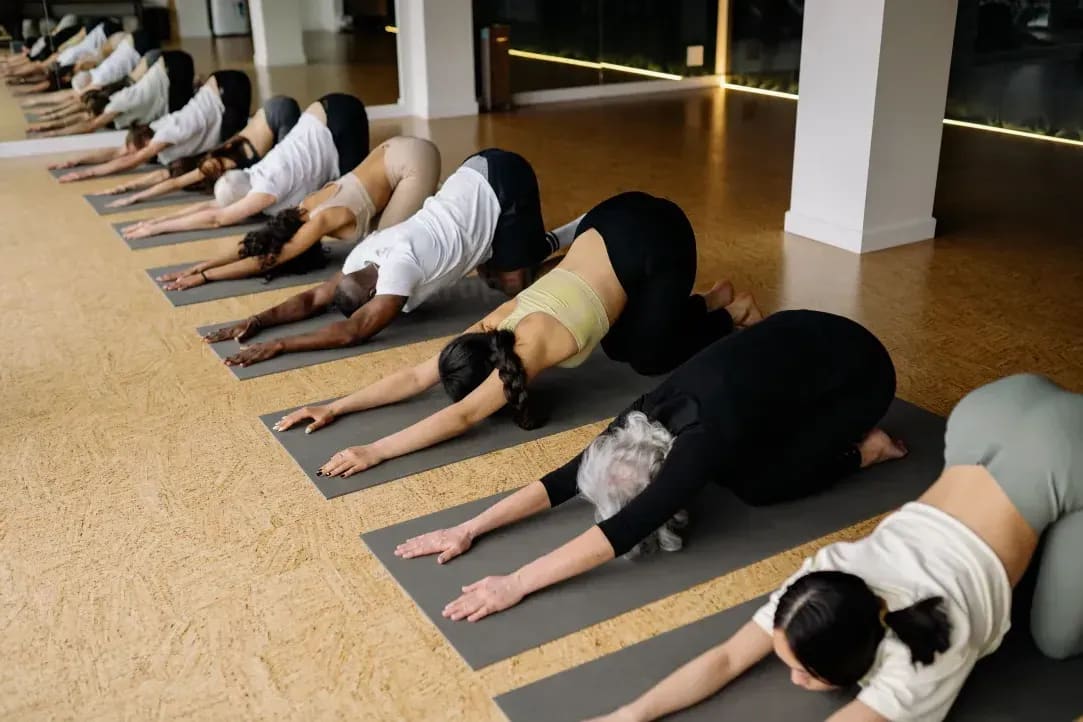 Armonía Yoga Grupal 11
